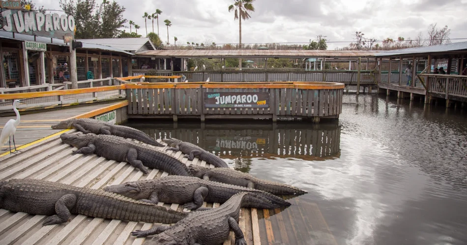 48 Hours in Kissimmee, Florida: The Perfect Weekend Itinerary