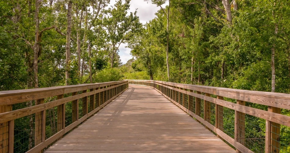 10 Best Attractions for Couples in Kissimmee