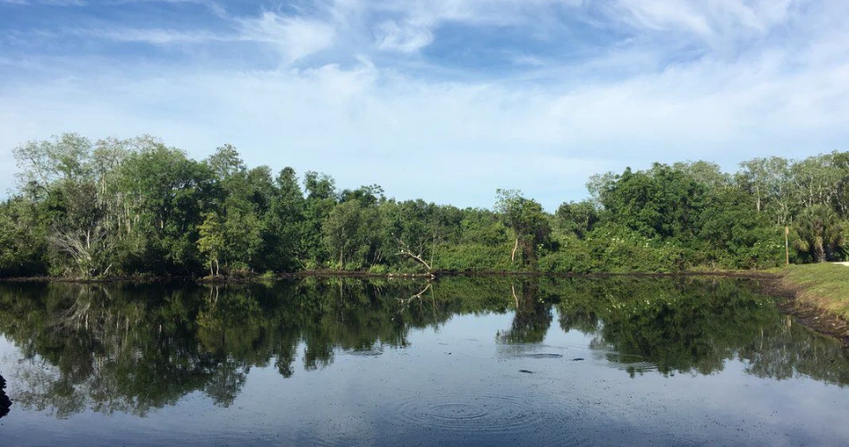 10 Best Attractions for Couples in Kissimmee